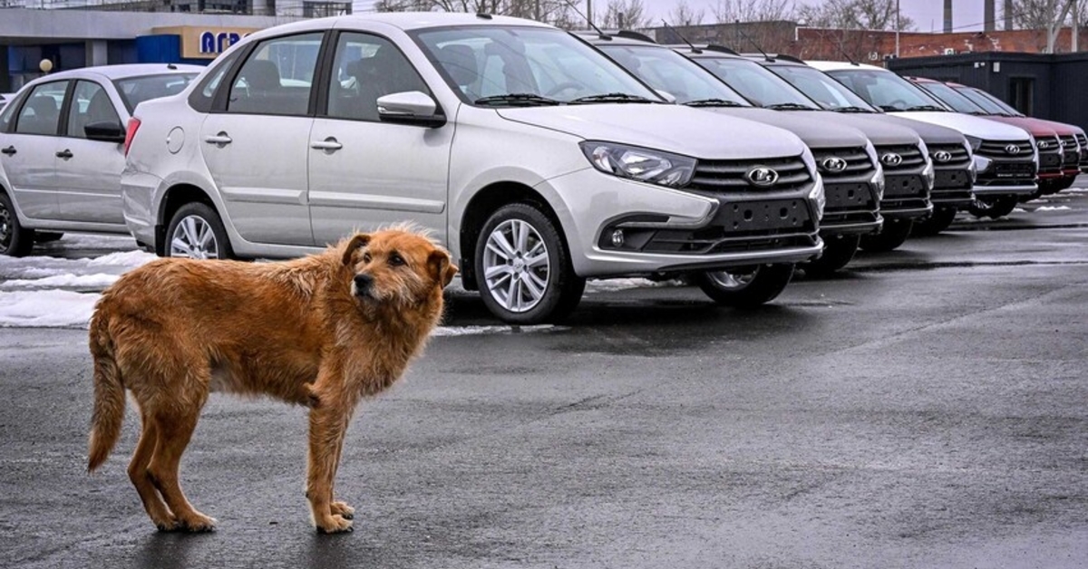 เหงาจัดๆ คนรัสเซียอยากซื้อรถแต่ไม่มีรถให้ซื้อเพราะผู้ผลิตรถยนต์ทั่วโลกแบนรัสเซีย