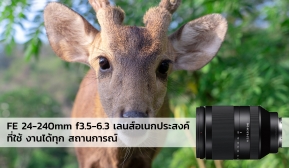 Review : เลนส์ Sony FE 24-240mm f3.5-6.3 เลนส์อเนกประสงค์ที่ใช้ งานได้ทุก สถานการณ์