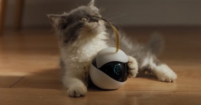 แนะนำ Gadget: Ebo หุ่นยนต์พี่เลี้ยงแมว สั่งการผ่านมือถือ บันทึกภาพและวีดีโอรายงานแบบเรียลไทม์!