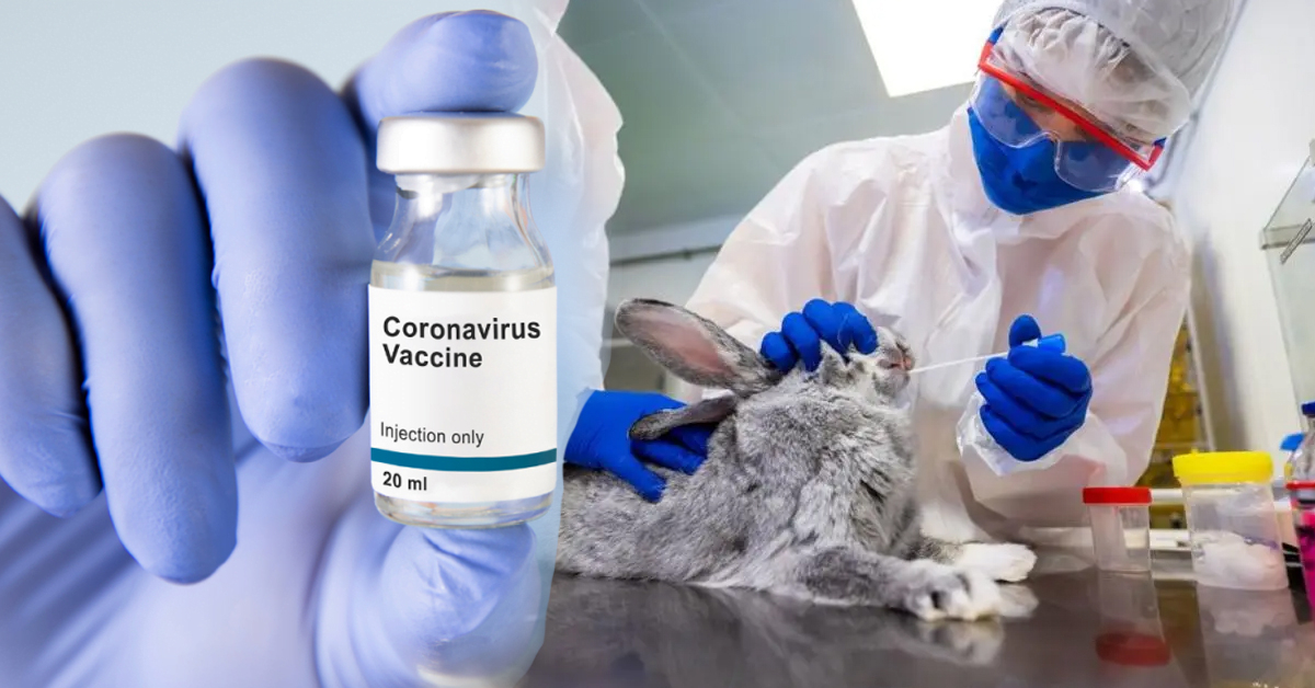 รัสเซียขึ้นทะเบียน Carnivac-Cov วัคซีนต้าน COVID-19 สำหรับสัตว์เป็นครั้งแรกของโลก