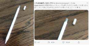 เลิ่กลั่ก! ชาวญี่ปุ่นหาปลอก Apple Pen ไม่เจอ ก่อนพบแคปซูลอาหารเสริมที่เพิ่งกินเข้าไปยังวางอยู่ที่เดิม!?