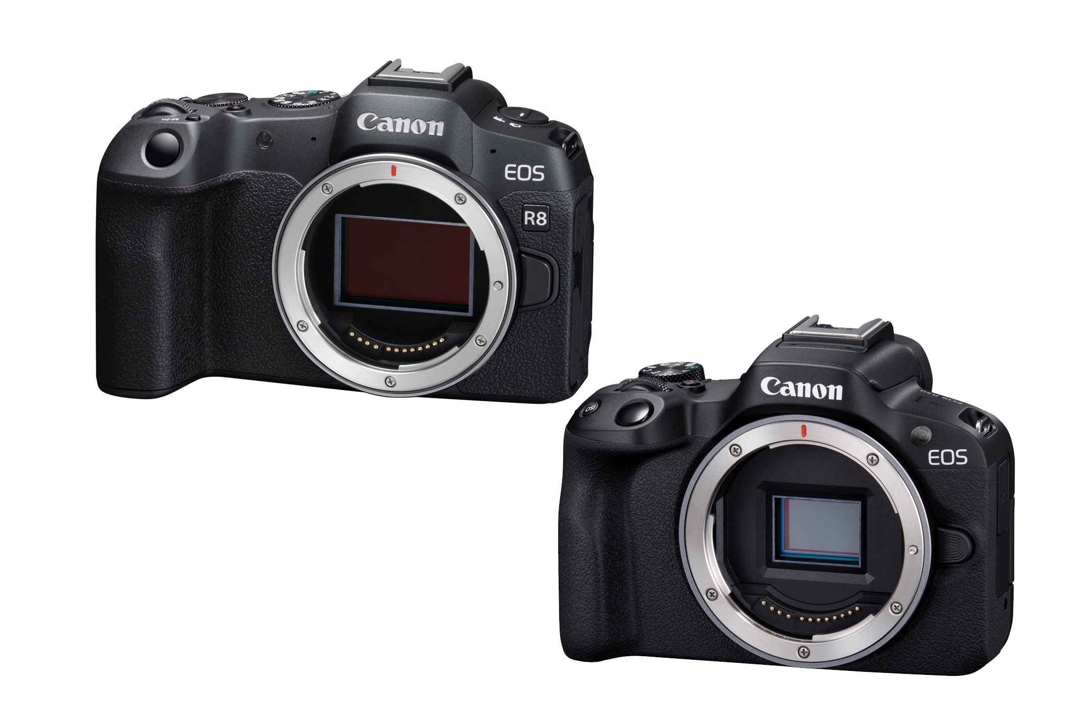 เปิดตัว Canon EOS R8 และ Canon EOS R50 กล้อง Mirrorless ที่สเปคจัดเต็มสองรุ่น สองสไตล์